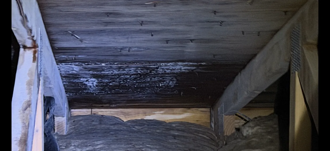 Blocked Soffits